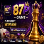 87P Game