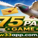 75pak Game