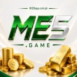 ME 5. Game